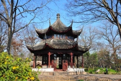 苏州拙政园-【拙政园东园】天泉亭