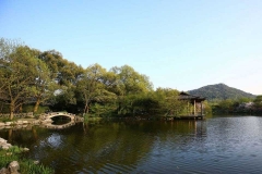 西湖花港观鱼-杭州西湖花港观鱼之密林地