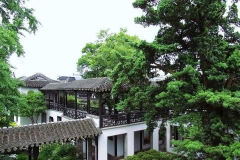 苏州木渎古镇-木渎古松园