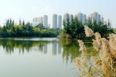 厦门五缘湾湿地公园-五缘湾湿地