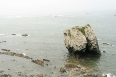 金石滩滨海国家地质公园-金石滩滨海国家地质公园